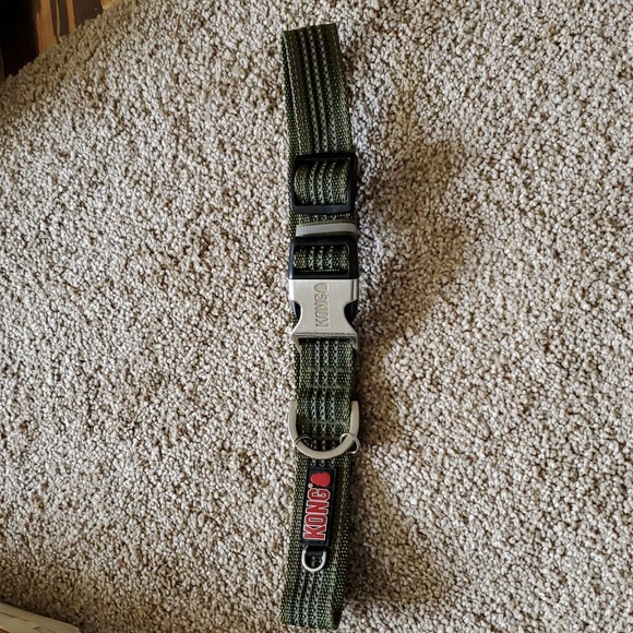 Kong Dog Green Dog Collar Poshmark